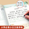 （老会员）小学生文学常识小古文练字帖记忆训练语文巩固规范书写文学汉字 商品缩略图9