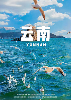 【纯洁春城】 昆明丨大理丨丽江纯玩6日游