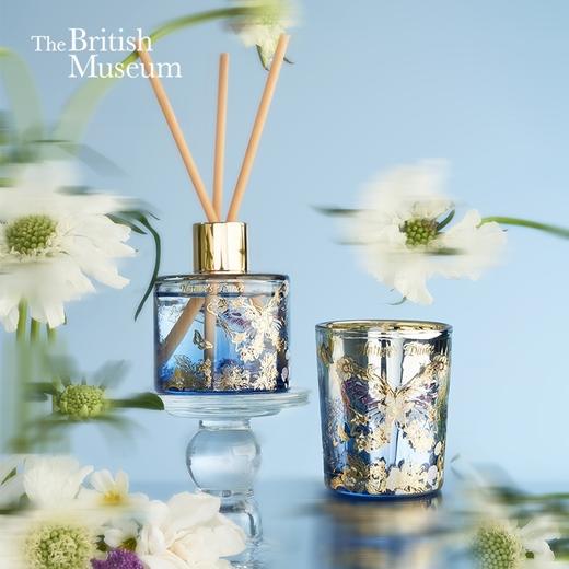 大英博物馆 博物志系列 蝴蝶香氛散香蜡烛香薰套装礼盒 蝶恋花 商品图0