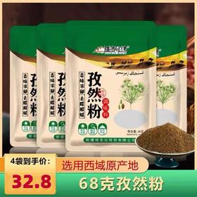 【1件起全国包邮】疆域秘烤 新疆半颗粒孜然粉调味料（272g*1袋）