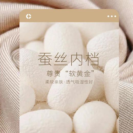 3楼 歌帝【3 条装】莫代尔蚕丝高腰女短裤 GDB8336 商品图4