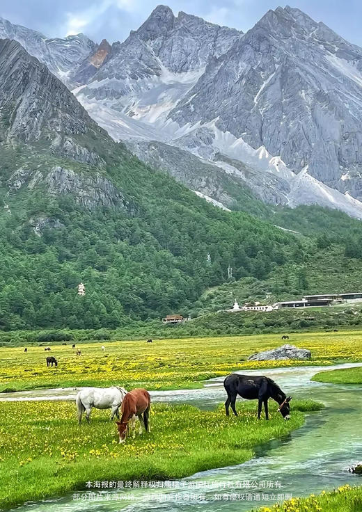 【总裁驾稻】高端100%真纯玩双飞7日游（2-8人小团） 商品图1