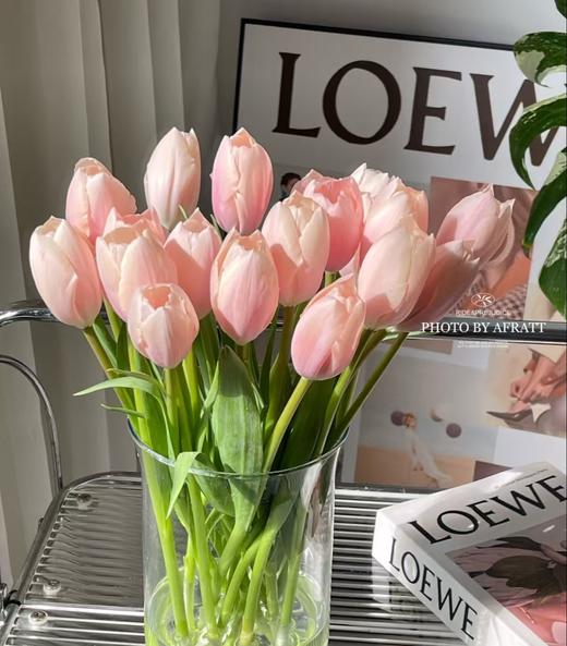 国产郁金香 | 人间水蜜桃 商品图0