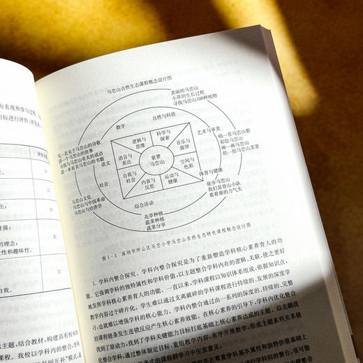 个性化学校课程体系 王琦 课程治理现代化丛书 课程实践案例 商品图9
