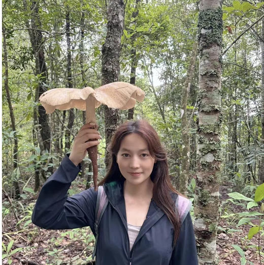 清明亲子｜4.4-4.6普洱3天2晚，从茶山云雾到雨林萤火，走进北回归线上的共生秘境，把自然写成孩子的成长诗！ 商品图10