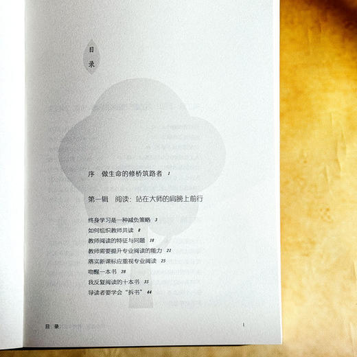 终身成长 教师专业发展指南 大夏书系 郝晓东 新教育实验 商品图6