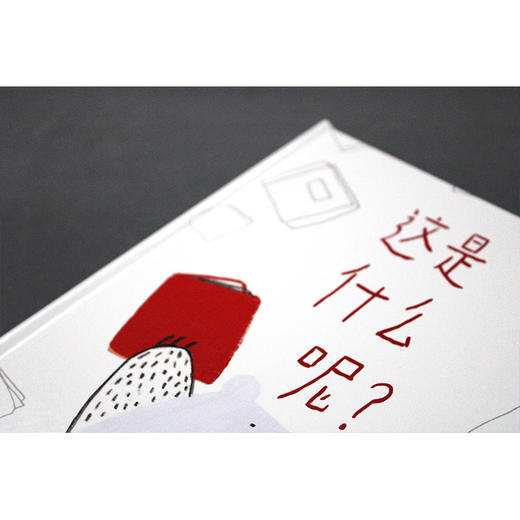 【独秀书香卡】魔法象·图画书王国  这是什么呢？3~6岁 儿童故事 儿童绘本 商品图4