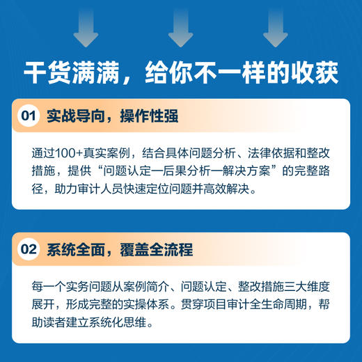 工程建设项目审计详解与实务：实战技巧+条文详解+案例分析 问题分析法律依据整改措施要点分析系统化思维审计会计实战工具书籍 商品图2