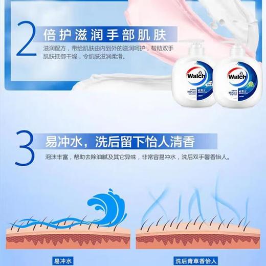 威露士健康抑菌洗手液青柠460ml +洋甘菊460ml/组合装 商品图4