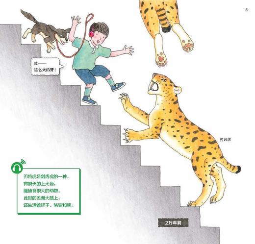 《地球的阶梯》 商品图9