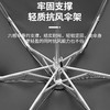 【遮阳护航，轻盈便携】梦幻伞境，晴雨无惧。女性夏日必备，轻盈便携，防晒UPF高。细节设计巧，小巧大防晒。 商品缩略图3