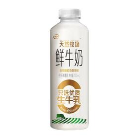 伊利天然牧场 鲜牛奶巴氏杀菌乳 750ml/瓶