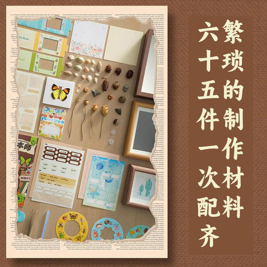 【儿童自然博物馆】小小标本师自然博物馆蝴蝶贝壳植物DIY标本制作 商品图3
