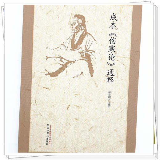 成本《伤寒论》通释 陈宝明 主编 中国中医药出版社 中医临床医案 伤寒论原文通释 商品图3