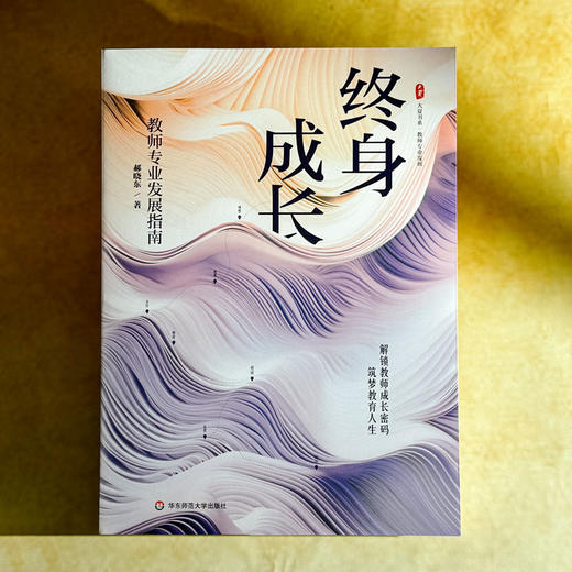 终身成长 教师专业发展指南 大夏书系 郝晓东 新教育实验 商品图1