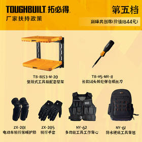 第五档（巅峰共创席）TB-H5-MR-11 + ZX-201 + ZX-205 + NY-62 + NY-61 + TB-B1S3-M-20 数量66套