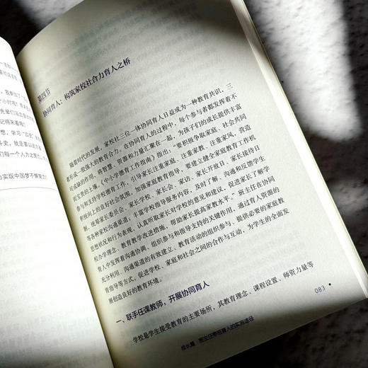 班主任关键能力修炼 从入门到进阶 大夏书系 洪耀伟 班主任成长 商品图11