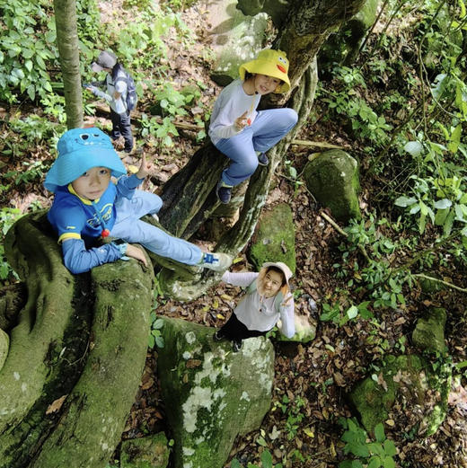 清明亲子｜4.4-4.6普洱3天2晚，从茶山云雾到雨林萤火，走进北回归线上的共生秘境，把自然写成孩子的成长诗！ 商品图2