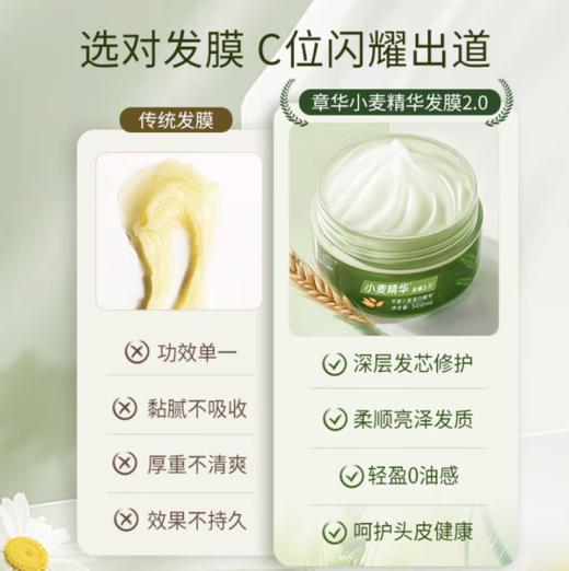 （积分兑换）章华小麦精华发膜500ml东来同款2.0升级版-8150 商品图4