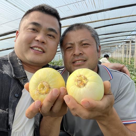 小蜜罐甜瓜【顺丰发货】 商品图3