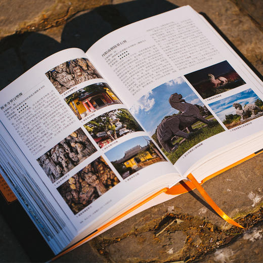 《有生之年一定要看的1001个中国古迹》 商品图6