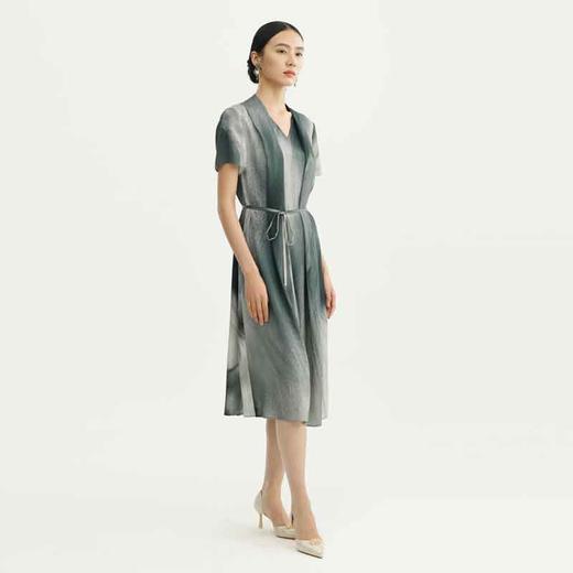 戴布拉芬连衣裙L28B559 商品图0