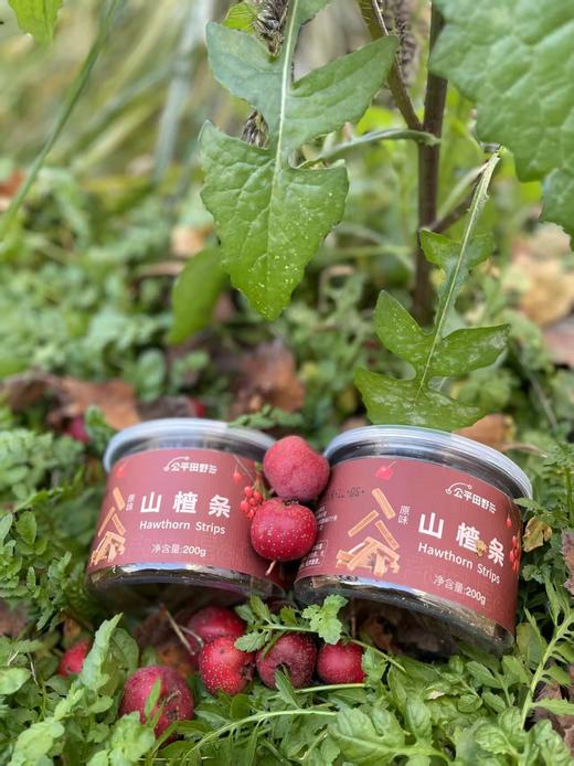 山楂条 商品图2