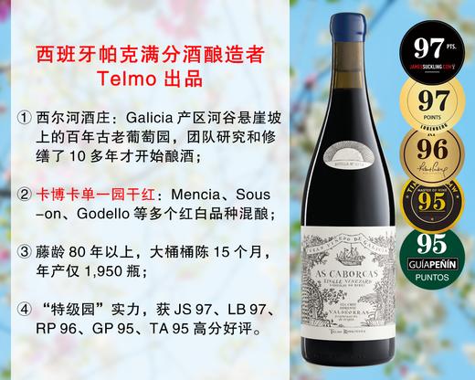 【现货促销，配额7瓶】【JS97+LB97+RP96】Telmo出品，必属精品：西尔河酒庄卡博卡单一园旗舰干红（2021年） 商品图0