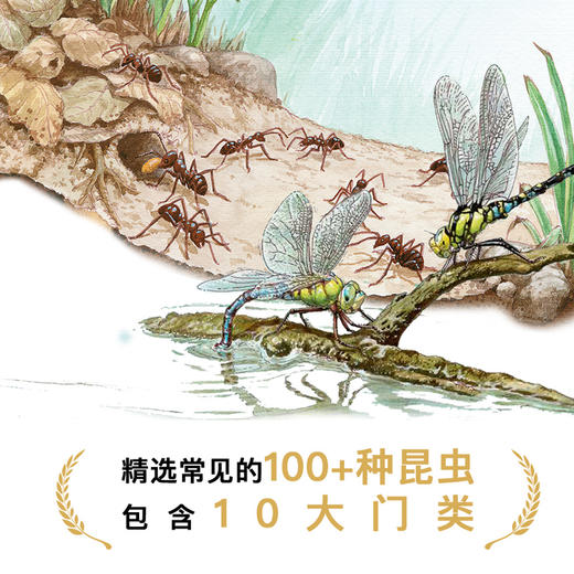 昆虫的奋斗（套装共3册） 商品图2