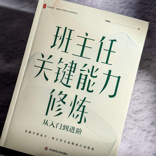 班主任关键能力修炼 从入门到进阶 大夏书系 洪耀伟 班主任成长 商品图4