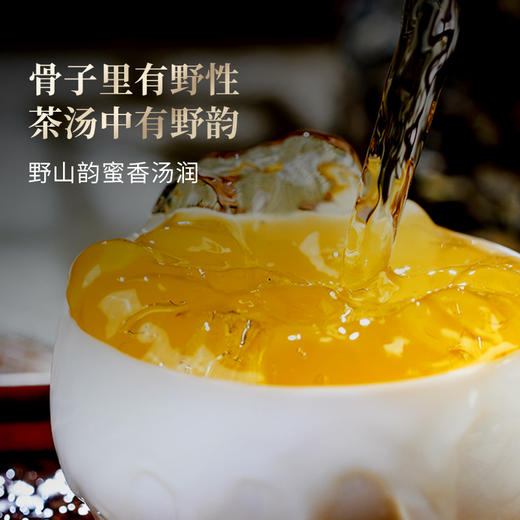 【白蛇山单株】易武弯弓原始森林顶层生态单株，稀缺超微产区，尝新快人一步；全程守株守茶，保真保纯！357克/饼 商品图3