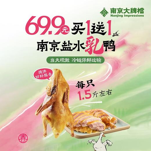 【南京特产盐水小乳鸭】南京大牌档 南京盐水鸭江苏特产盐水鸭南京烤鸭卤味整只真空包装熟食 商品图0