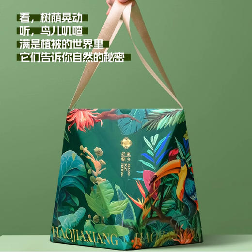 好家乡·小森林 - 800g【端午】JLX 商品图0