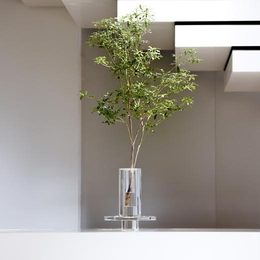 絮雨高透K9水晶花瓶 RESONG日诵家居 花器饰品 商品图4