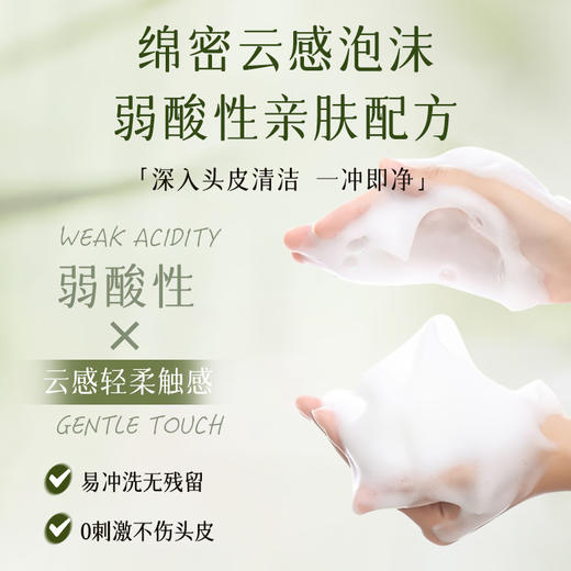 【洗护合一】生姜复活草经典款洗发水400ml/800ml（6号） 商品图4