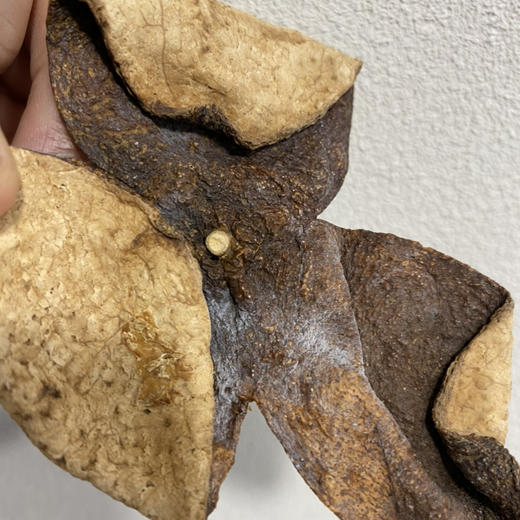 新会陈皮 商品图4