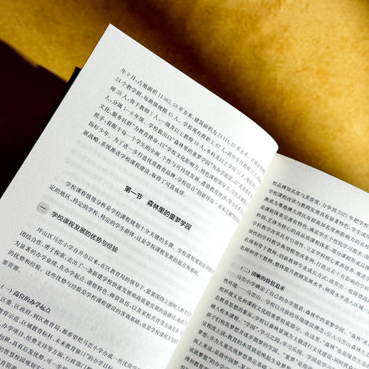 个性化学校课程体系 王琦 课程治理现代化丛书 课程实践案例 商品图8