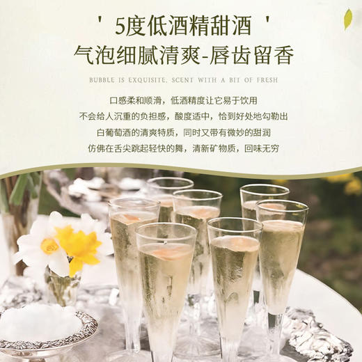 【低度气泡酒】西班牙进口莫斯卡托气泡酒甜白葡萄酒女士果酒 5%vol 商品图11