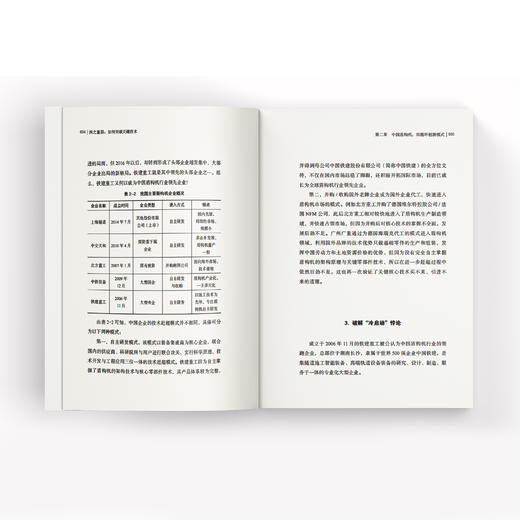 《国之重器：如何突破关键技术》 商品图6