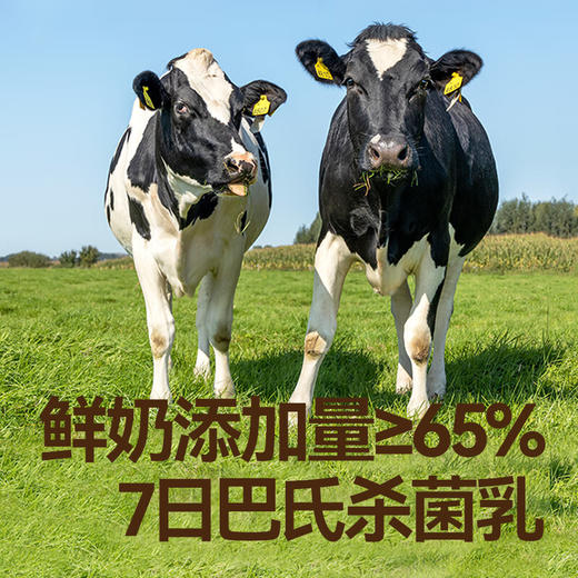 秋田满满--婴幼儿DHA鲜牛乳溶豆(牛油果羽衣甘蓝)18g（6-36月适用） 商品图1