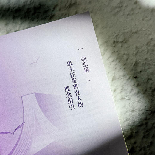 班主任关键能力修炼 从入门到进阶 大夏书系 洪耀伟 班主任成长 商品图7