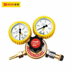 波斯       丙烷减压表     BS473583
