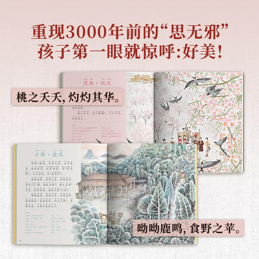 【狐狸家专场】 《诗经》（美绘版）3册装 商品图3