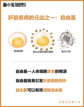 肝脏疾病的元凶之一：自由基