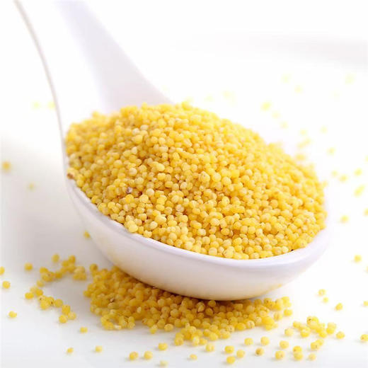 新疆沙漠小米2.5kg 商品图2