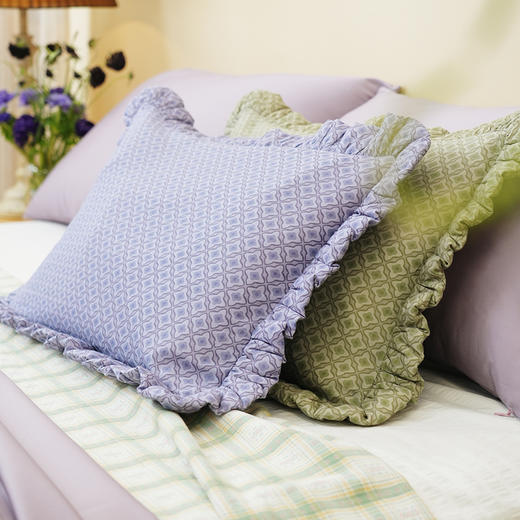 洋水仙系列花边枕荞麦壳枕头荞麦皮睡眠护颈椎睡觉专用纯棉学生儿童 商品图0