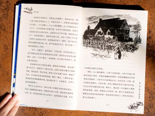 《百年国际大奖小说》精美礼盒（全24册） 童书界的“奥斯卡”，一次集齐24本摘金夺银标杆之作。 商品图7