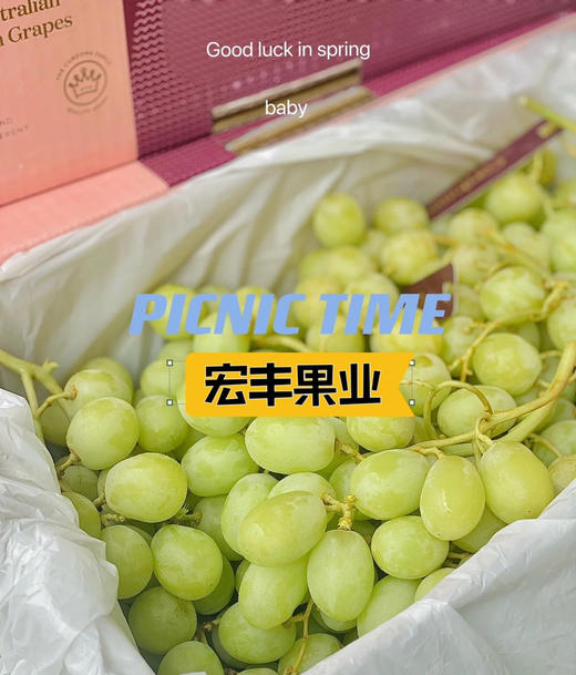 宏丰精选 进口甜地球青提  脆甜爽口  活动价23.8元一斤 商品图12