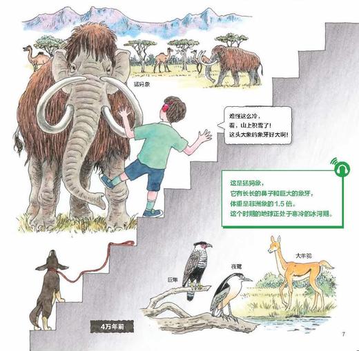 《地球的阶梯》 商品图10
