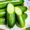 水果黄瓜9.8元/斤，19.8元3斤 商品缩略图2
